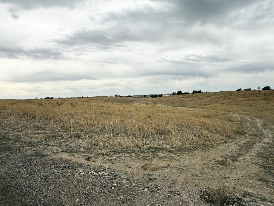 Picture 8