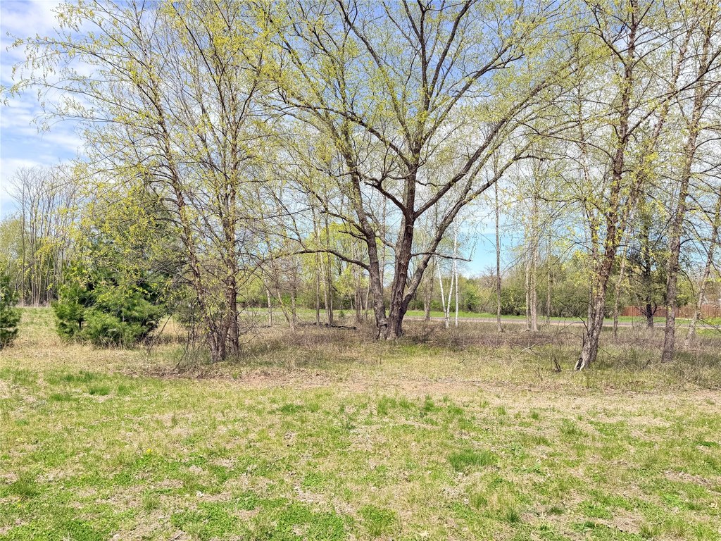 Picture 10
