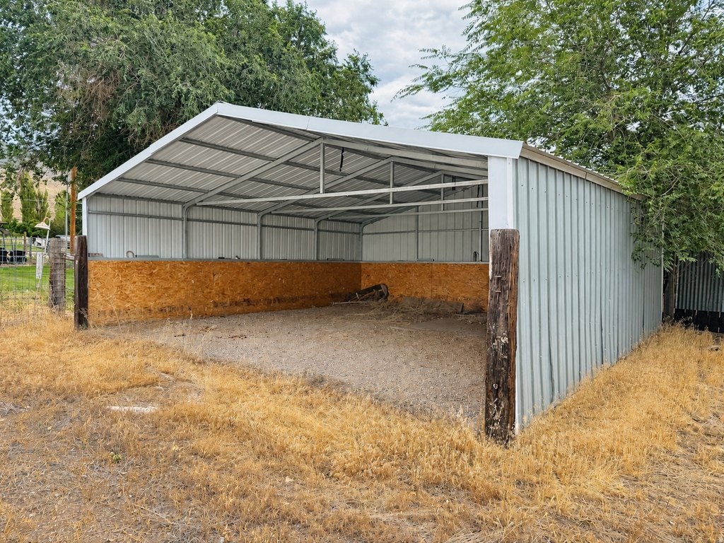 Picture 6