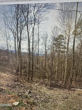 Land, Sevierville, TN