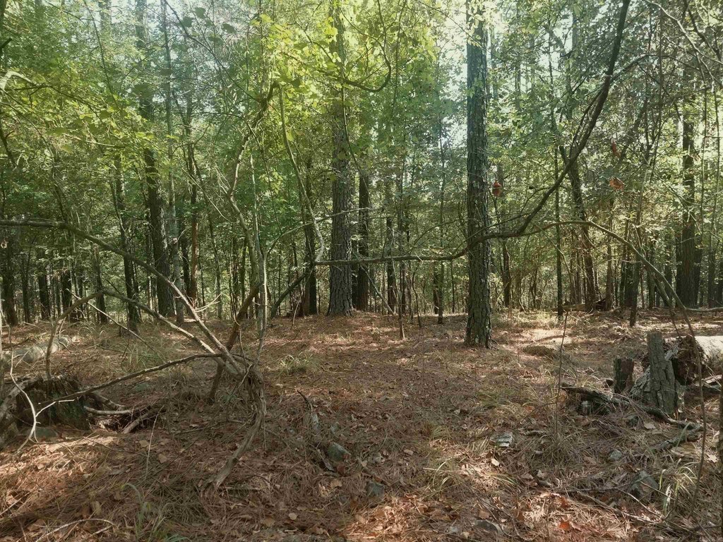 Picture 4