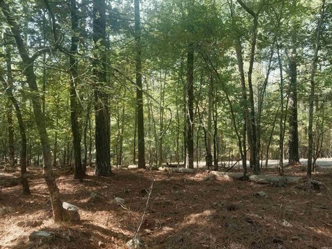 Vacant Land, Hot Springs Village, AR