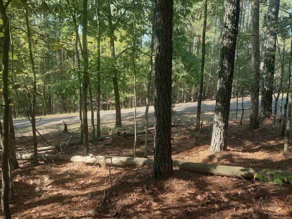 Picture 3