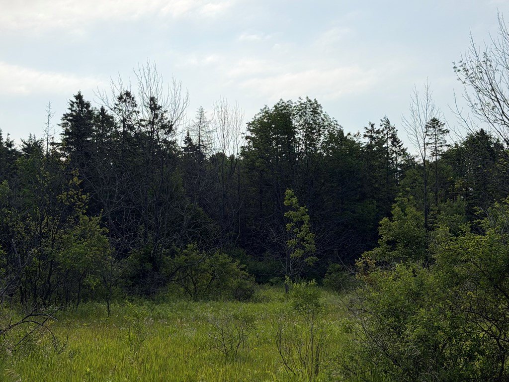 Picture 6