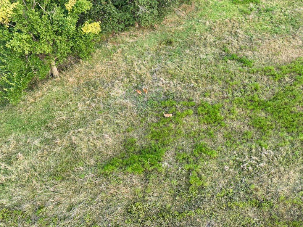 Picture 25