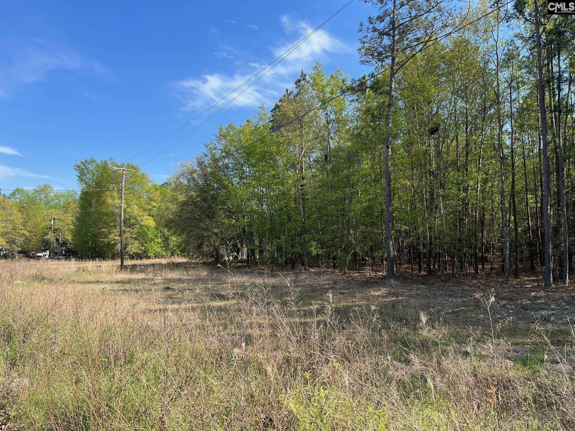 Undeveloped Land Near Farmers Market