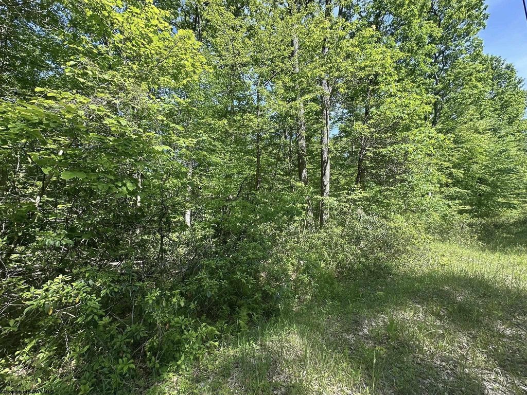 Picture 21