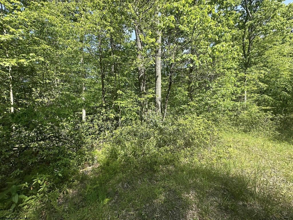 Picture 18