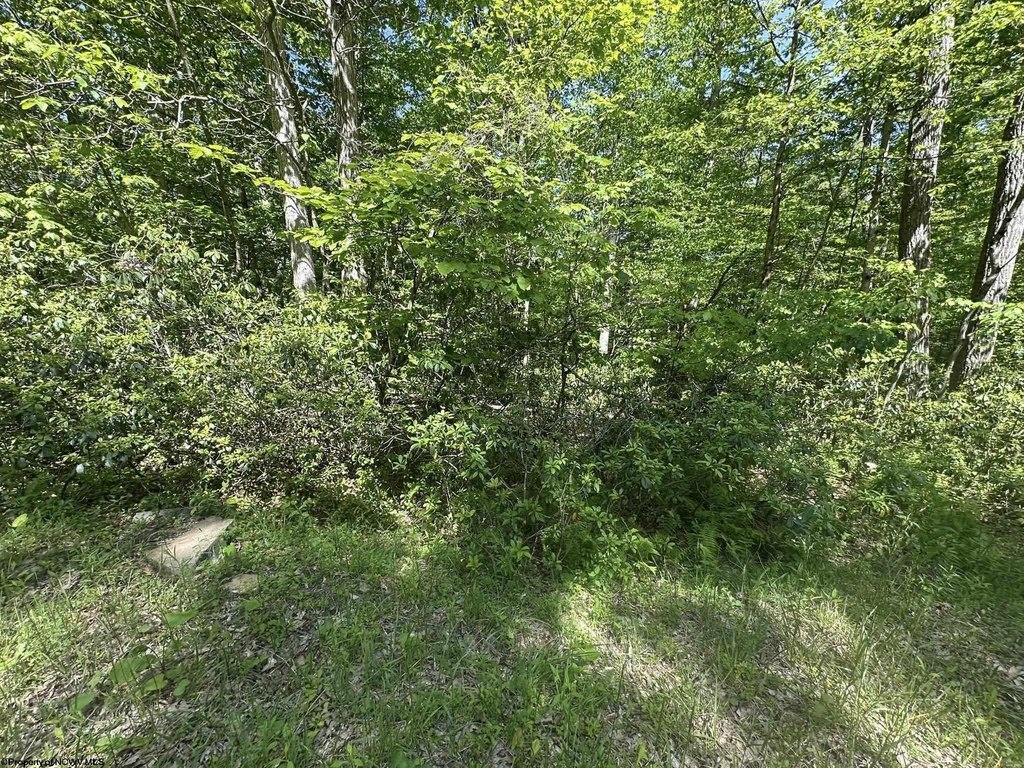 Picture 23