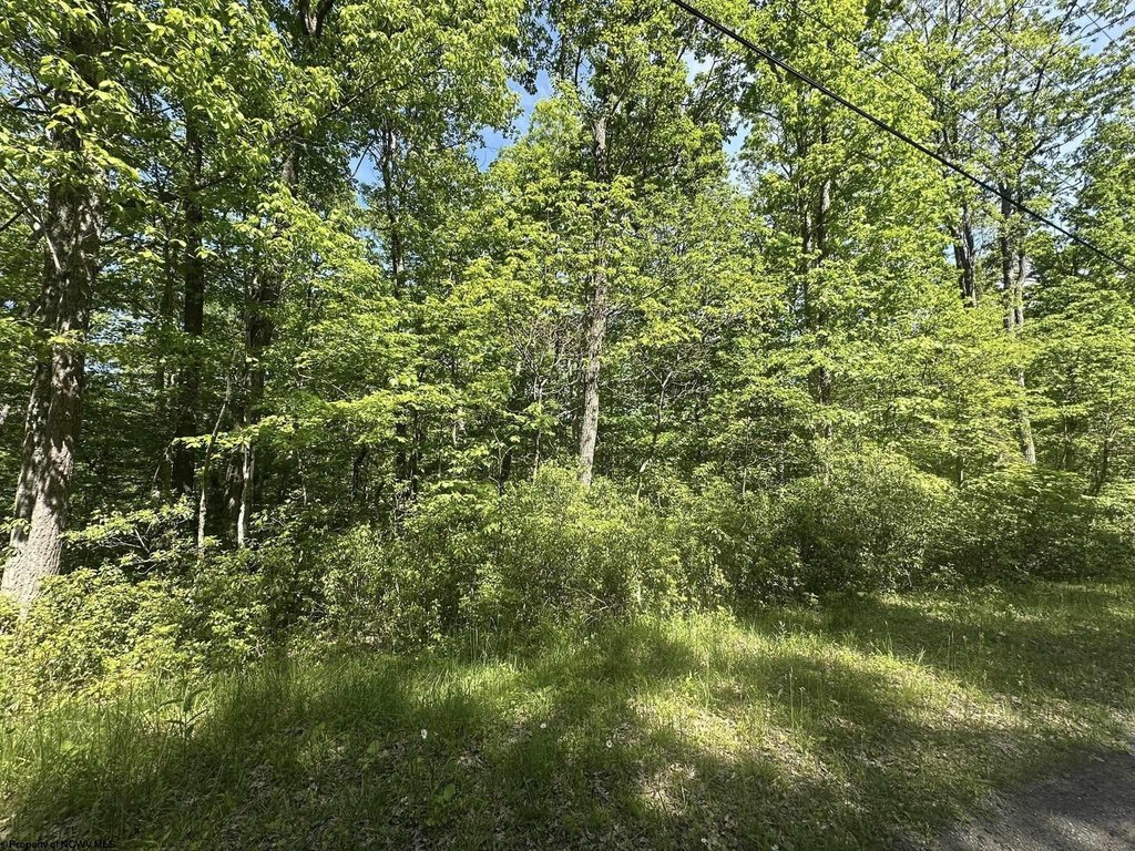 Picture 13