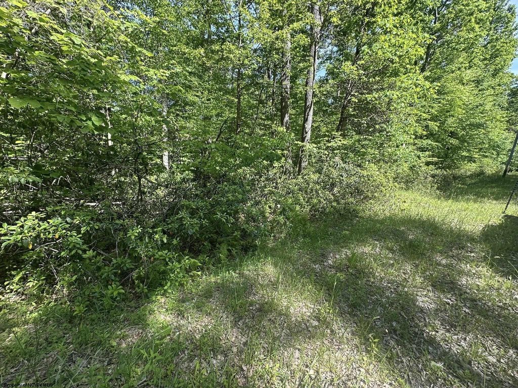 Picture 19