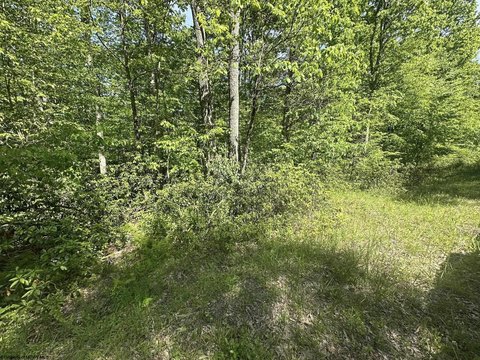LAND - Terra Alta, WV