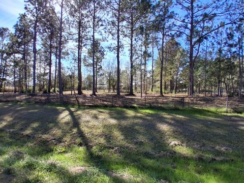 2.03 Acres on GA Hwy