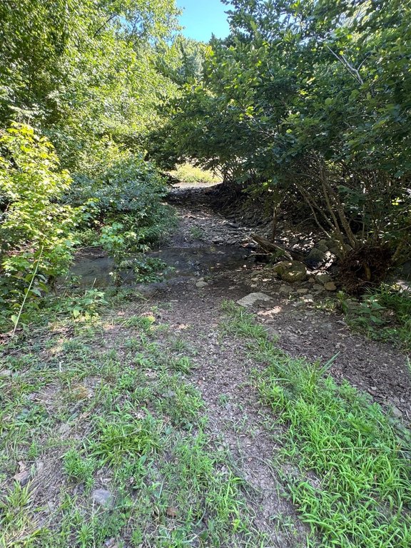 Picture 40