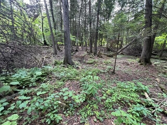 Picture 19
