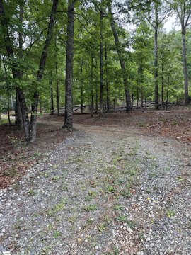 Wooded Lot Near Downtown Spartanburg