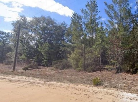 Interlachen Land Parcel For Sale
