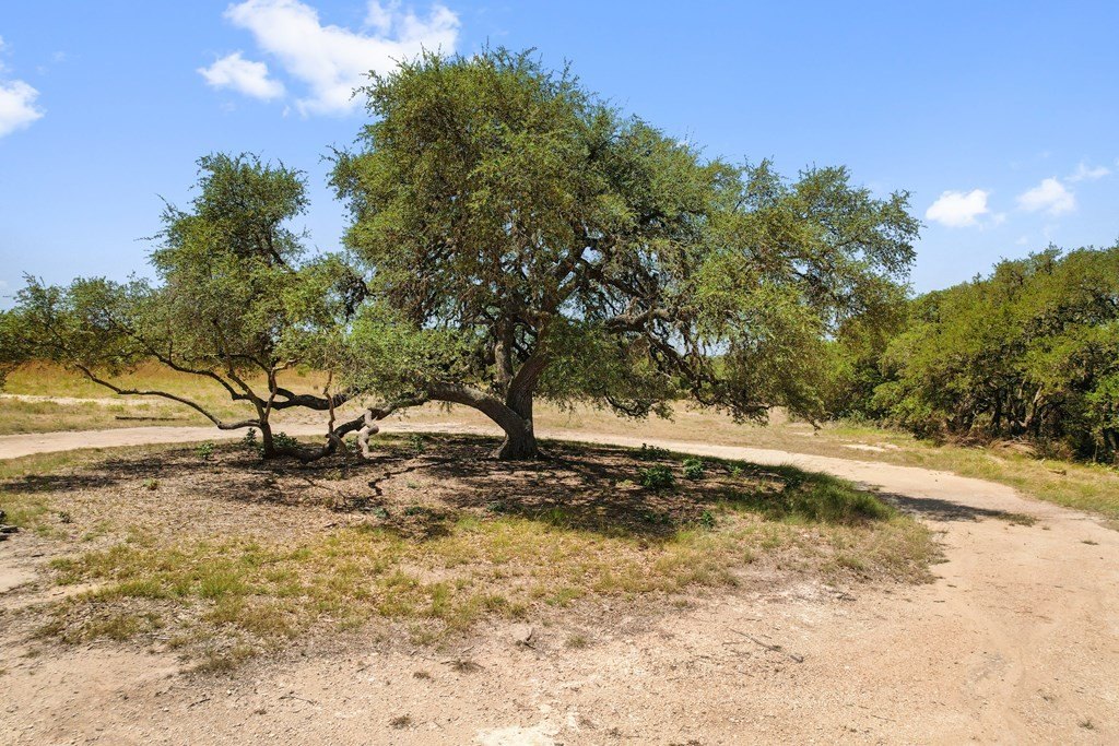 Picture 15