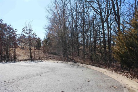 Residential Land in Greystone Subdivision