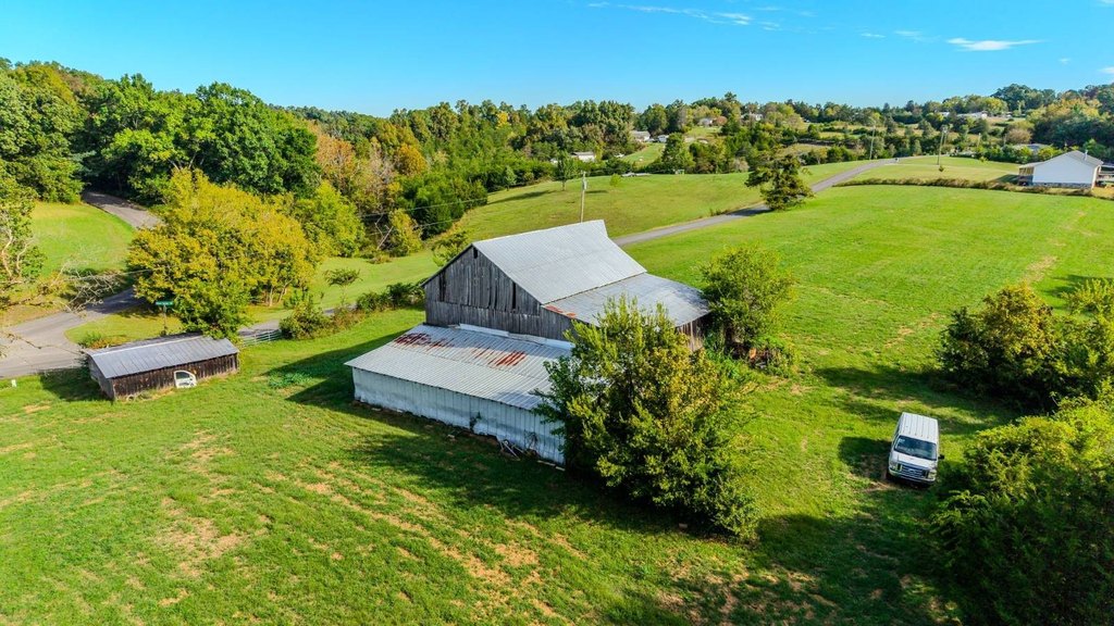 Picture 8