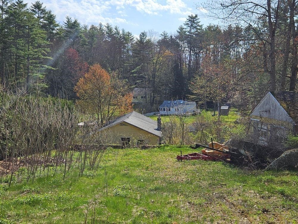 Picture 4