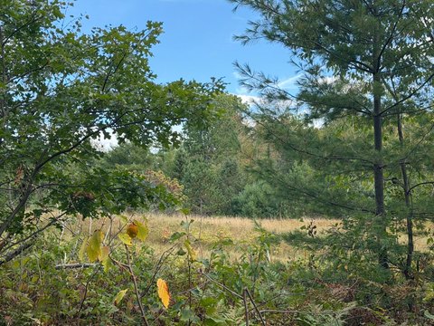 Land, Minocqua, WI