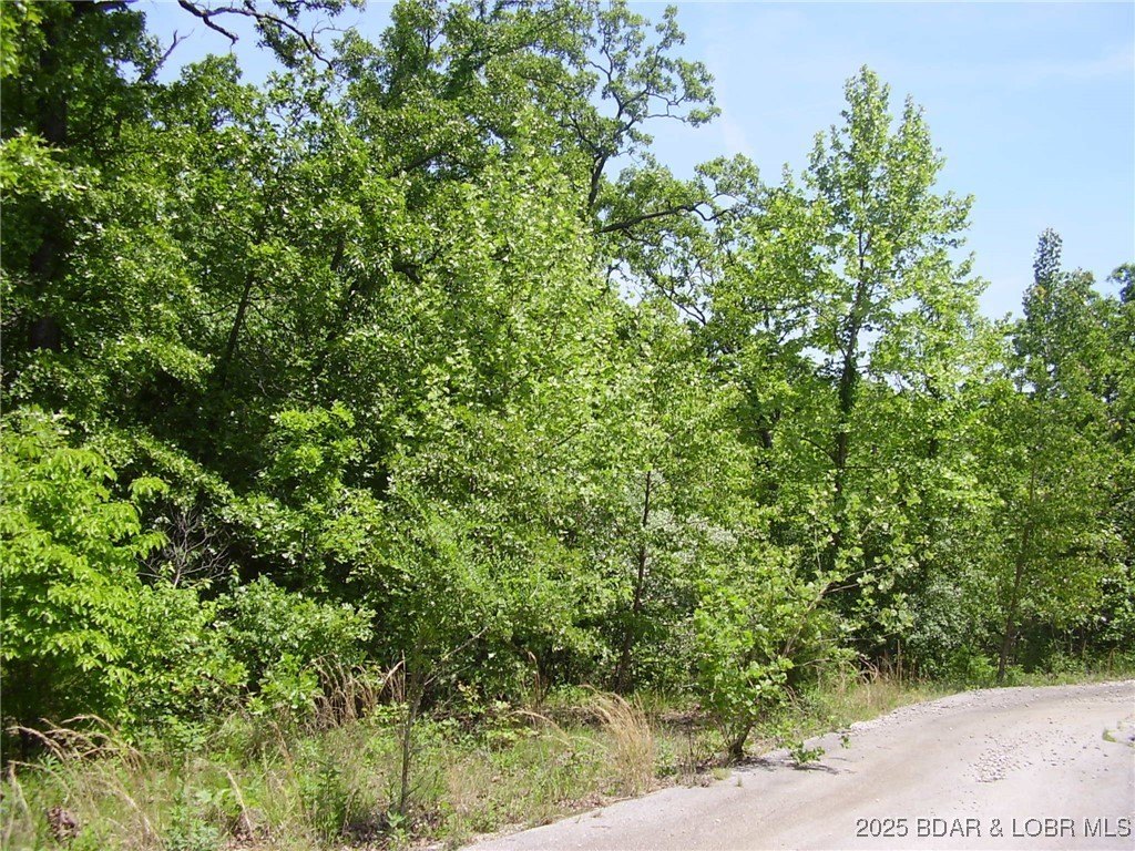 Residential Land in Camdenton, MO