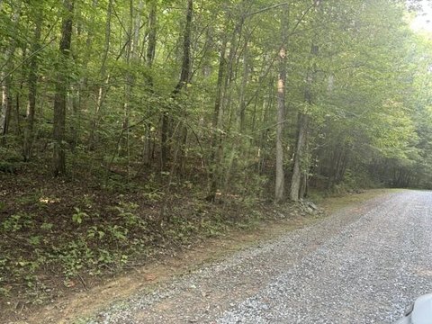 Vacant Lot, Ellijay, GA