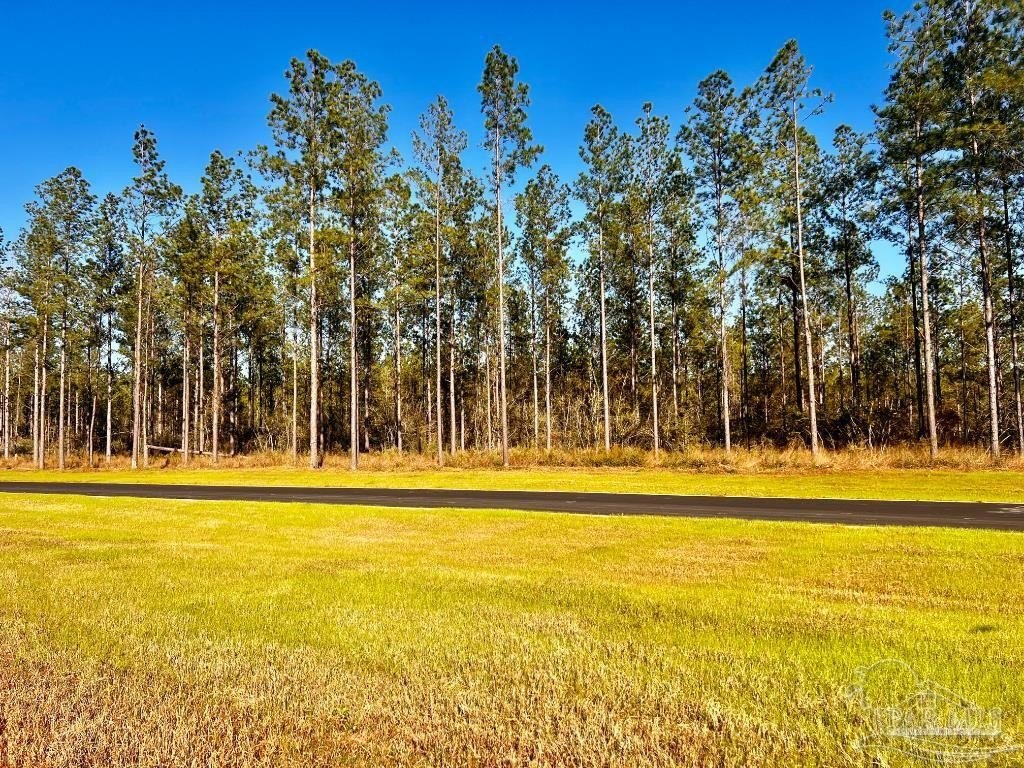 Secluded Large Lot Community