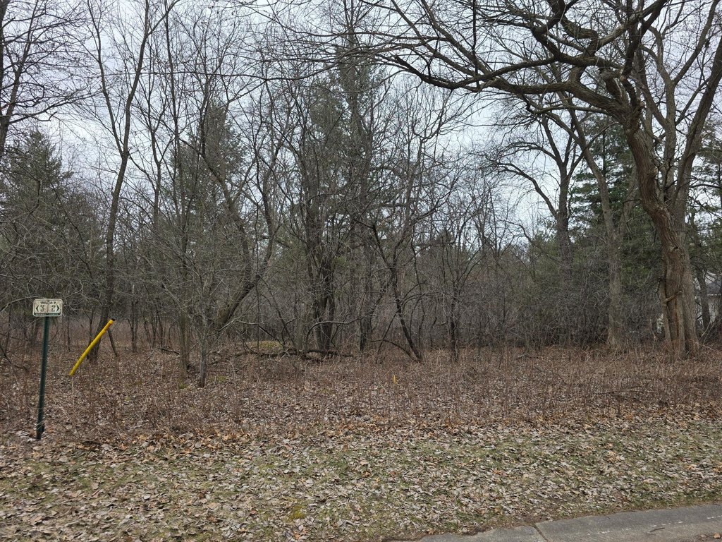 Picture 3