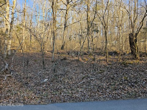 Wooded Lot Near Norris Lake