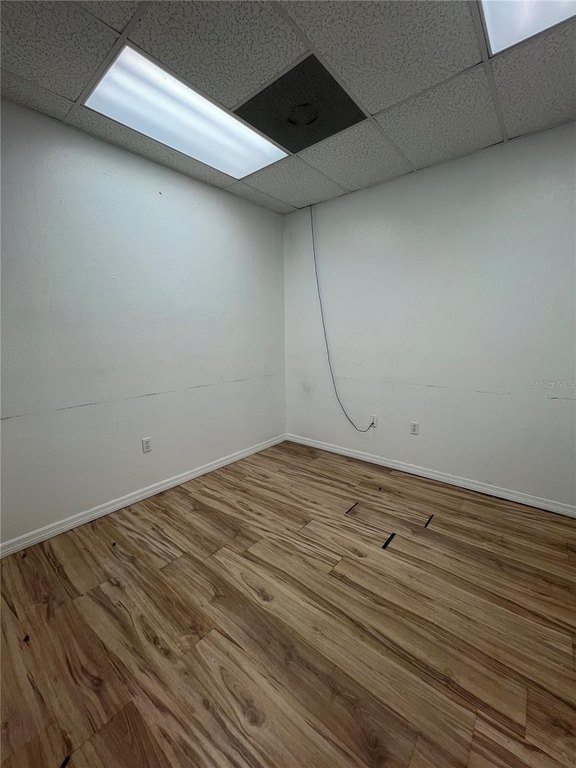 Picture 8