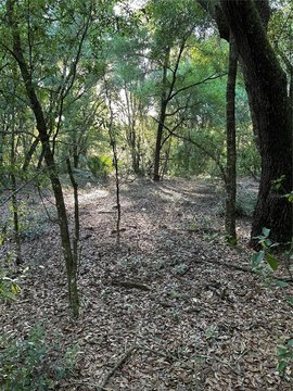 A-1 Zoned Land with Road Frontage