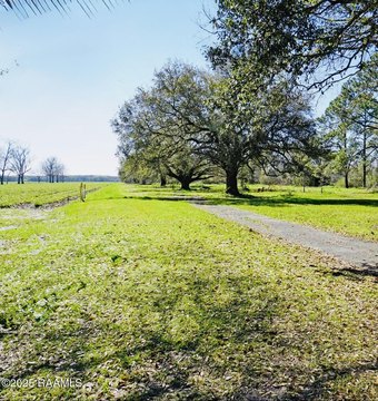 Land, Breaux Bridge, LA