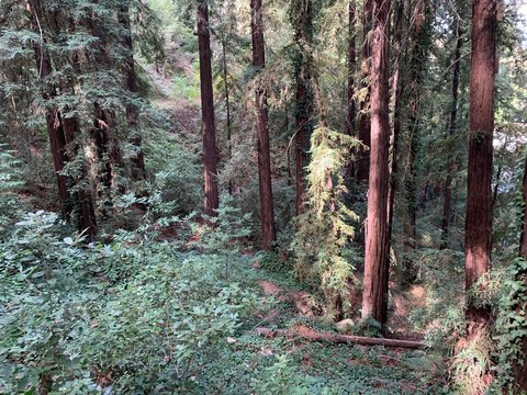 Residential Lots & Land, LOS GATOS, CA