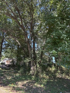 Land in Nashville, Arkansas