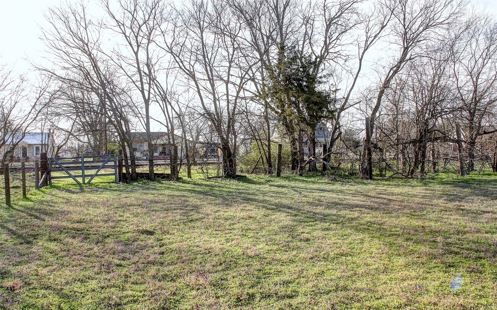 Picture 9
