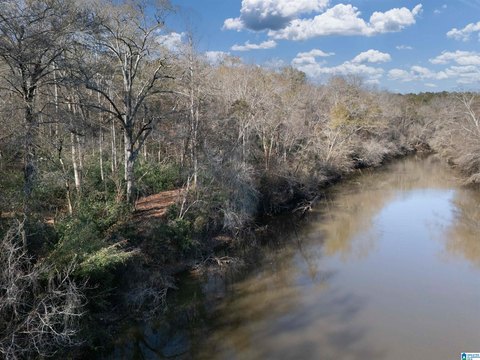 LAND/LOTS, WOODLAND, AL