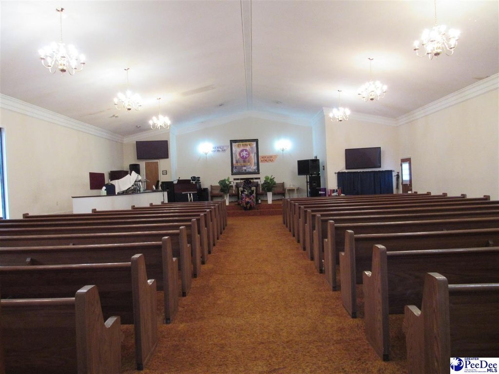 Picture 15