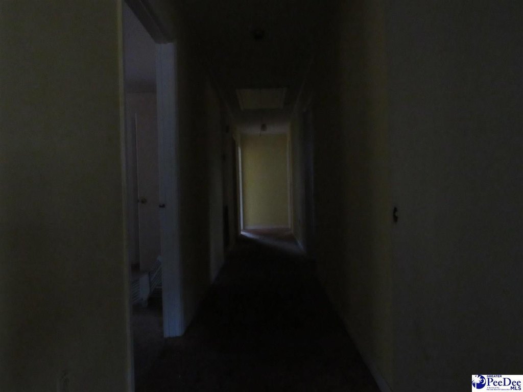 Picture 38