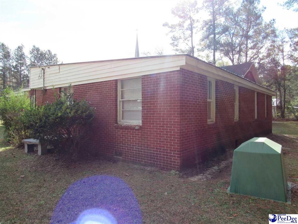 Picture 11