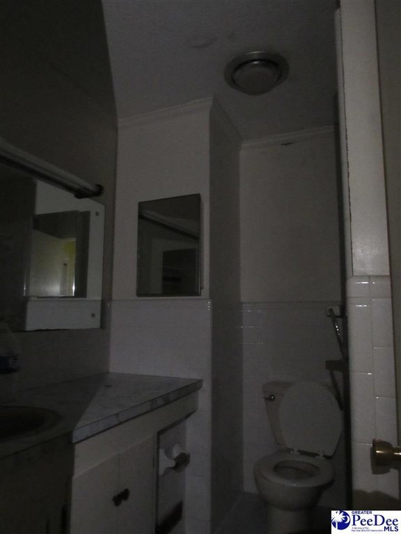 Picture 41