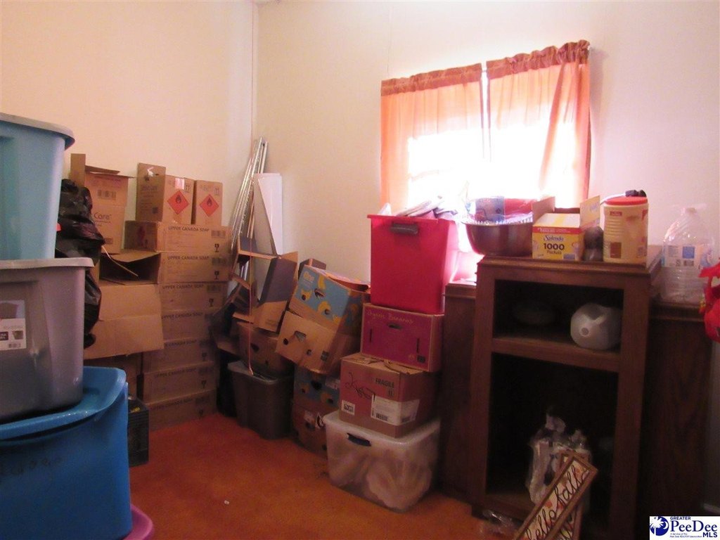 Picture 31