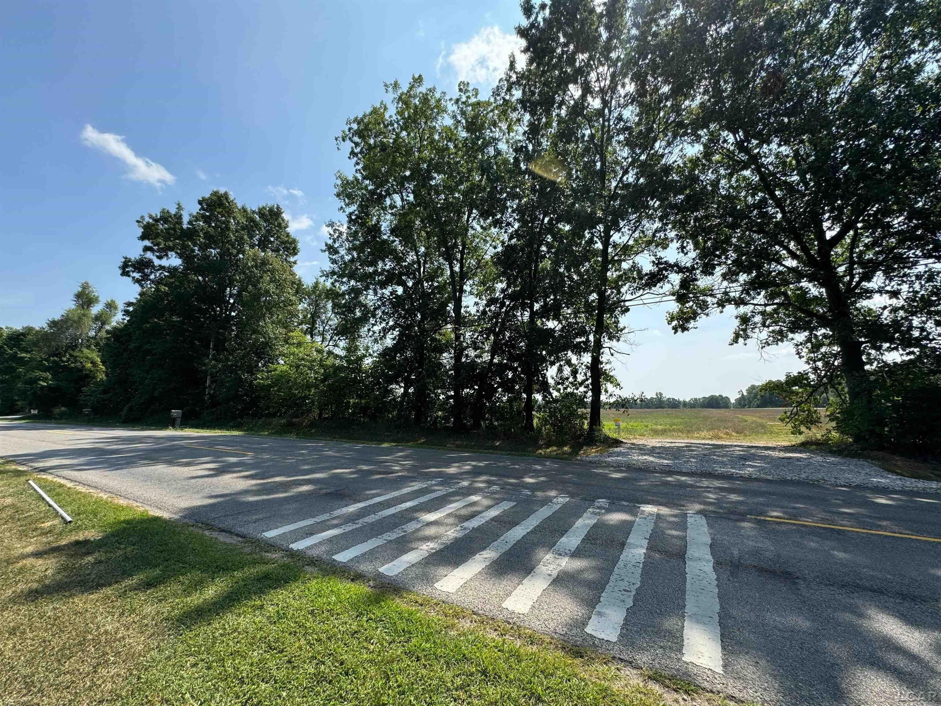 Sprawling Vacant Land in Adrian