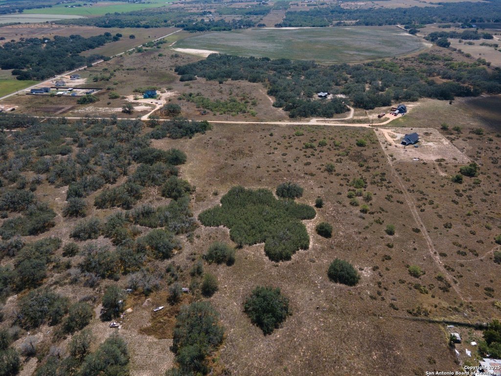Picture 10