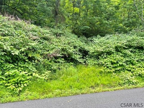 LAND - Johnstown, PA
