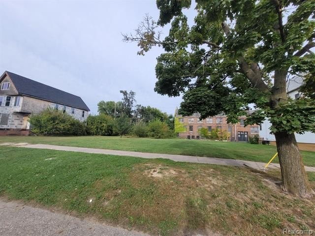 Picture 5