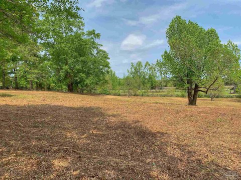 Residential Lot in Atmore, AL