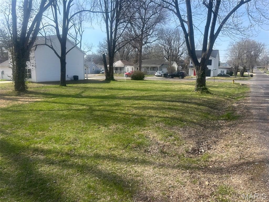 Picture 3