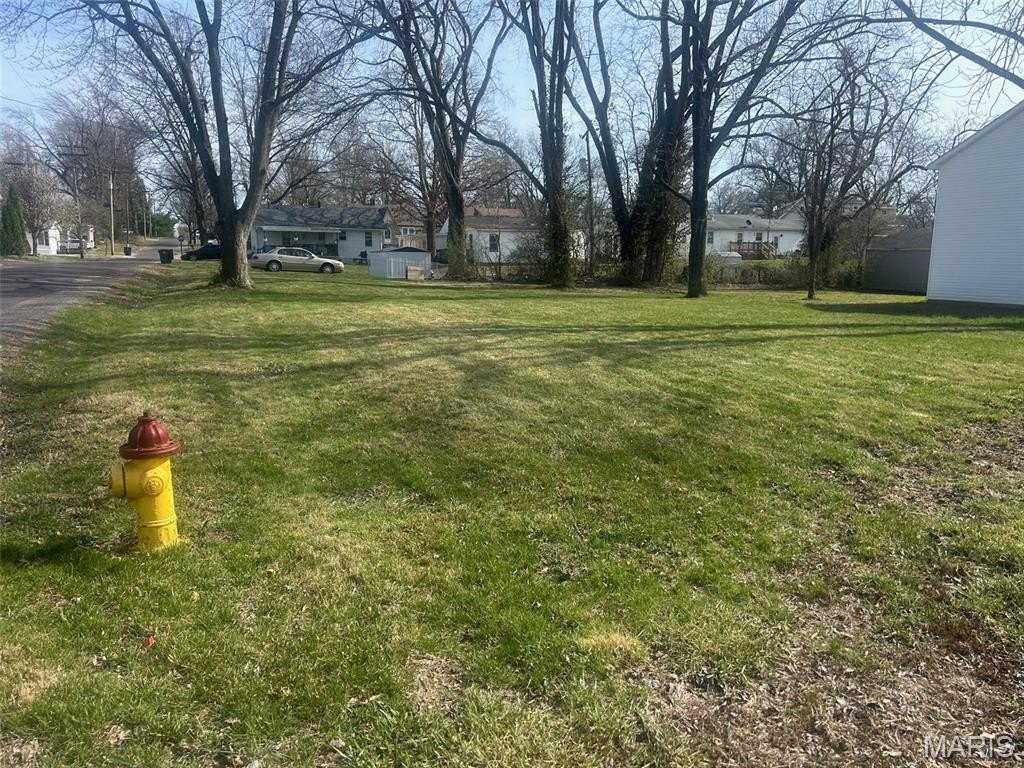 Picture 2